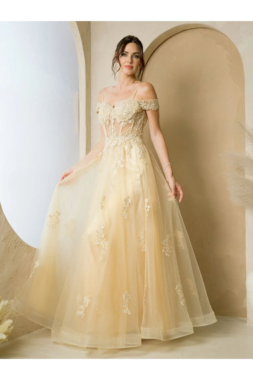 Eva USA 5270 Long A-Line Formal Prom Dress
