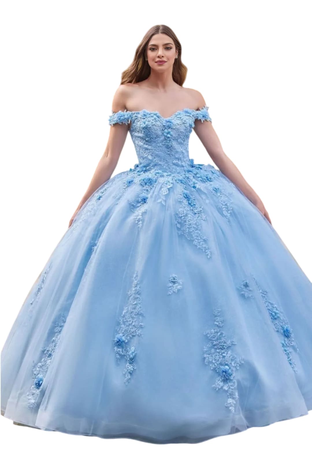 Evening Ball Gown 2025 Sweetheart Floral Lace Applique Dress - LT BLUE / XS - Dress