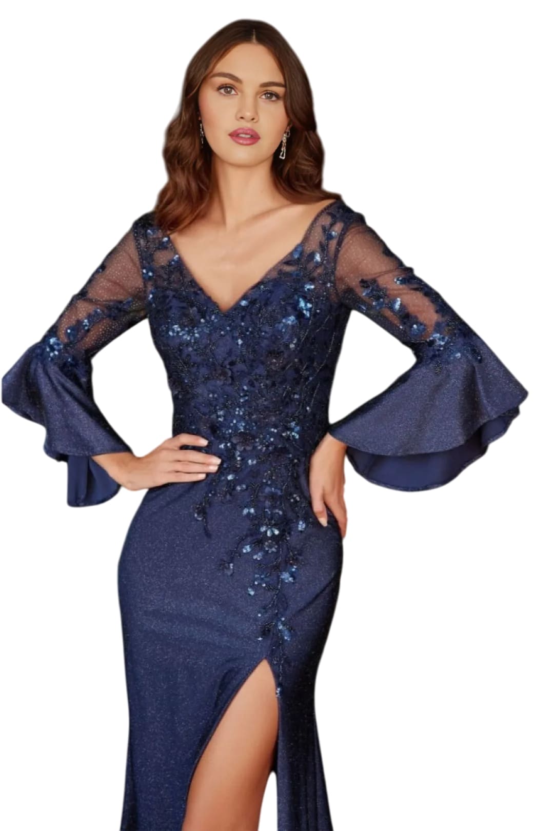 Evening Gala Gown 2025 V-Neck Embroidery Bell Sleeves Long Dress - Dress