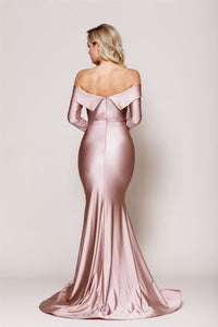 FINAL SALE! Long sleeveBodycon Gown
