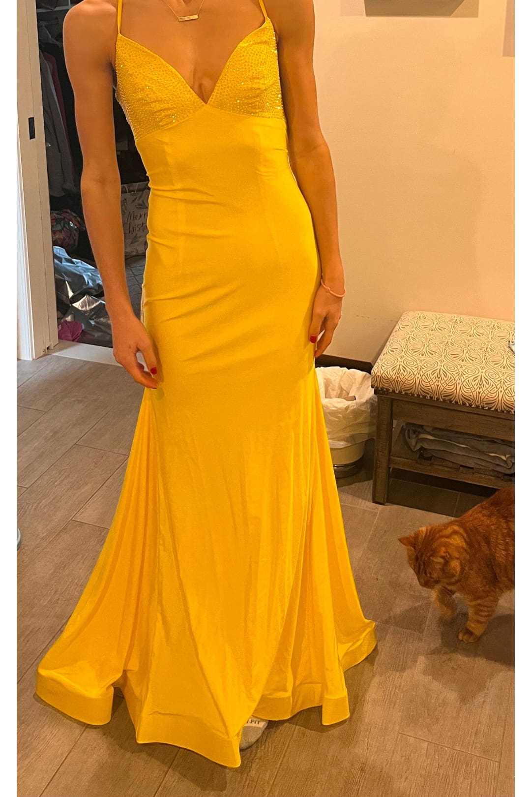 Fitted Lace-Up Jersey Gown by Elizabeth K GL3035 - Long Formal Dresses