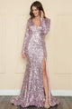 Vestido ajustado de lentejuelas y manga larga de Poly USA 9010