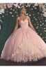 Floral Ball Quinceanera Gown - BLUSH/NUDE / 4