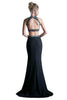 Floral Embroidered Two-Piece Formal Dress 2025 Elegant Evening Gown - Prom