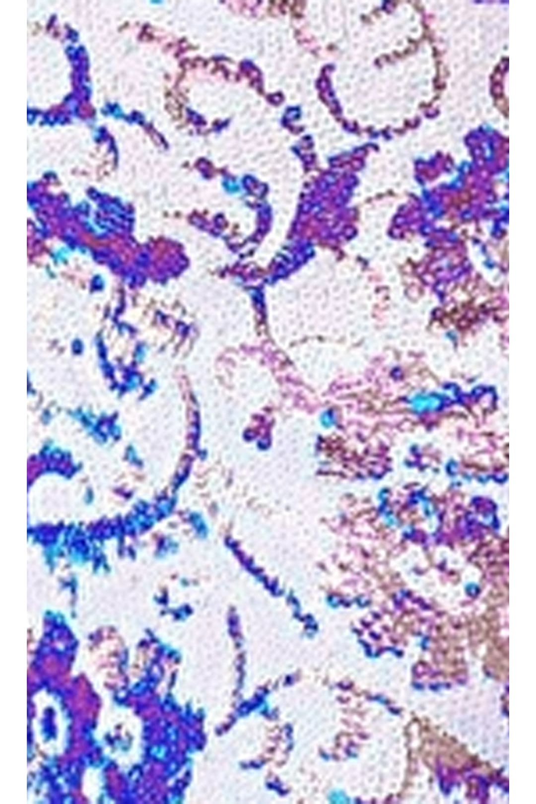 Floral-Sequin Short Jovani Backless Party Dress - White/Purple / 00 - Apparel & Accessories > Clothing > Dresses