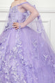 Girls 3D Butterfly Cape Ball Gown by Bella Princess PK1001