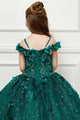 Girls 3D Floral Cloak Ball Gown by Bella Princess PK1004