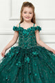 Girls 3D Floral Cloak Ball Gown by Bella Princess PK1004