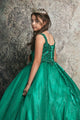 Girls Sequin Applique Sleeveless Gown by Bella Princess C337