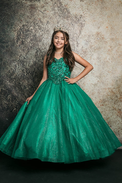 Girls Sequin Applique Sleeveless Gown by Bella Princess C337