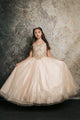 Girls Sequin Applique Sleeveless Gown by Bella Princess C337