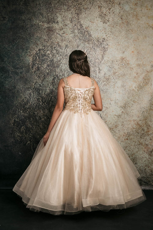 Girls Sequin Applique Sleeveless Gown by Bella Princess C337