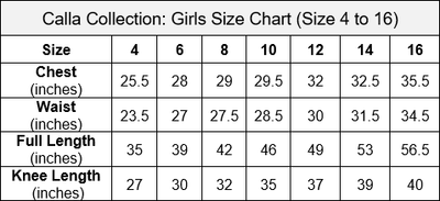 Girls Tea Length Tulle Dress with Embroidered Bodice by Calla D792