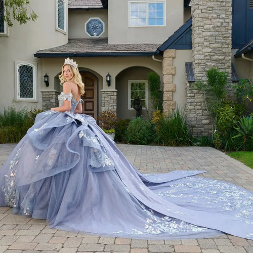 Off Shoulder 3D Butterfly Appliqué Corset Ball Gown by Elizabeth K GL3802
