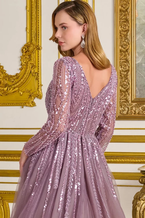 Mauve Long Sleeve Beaded Mother of the Bride Dress with Tulle Overskirt Train by Gloria GL3832