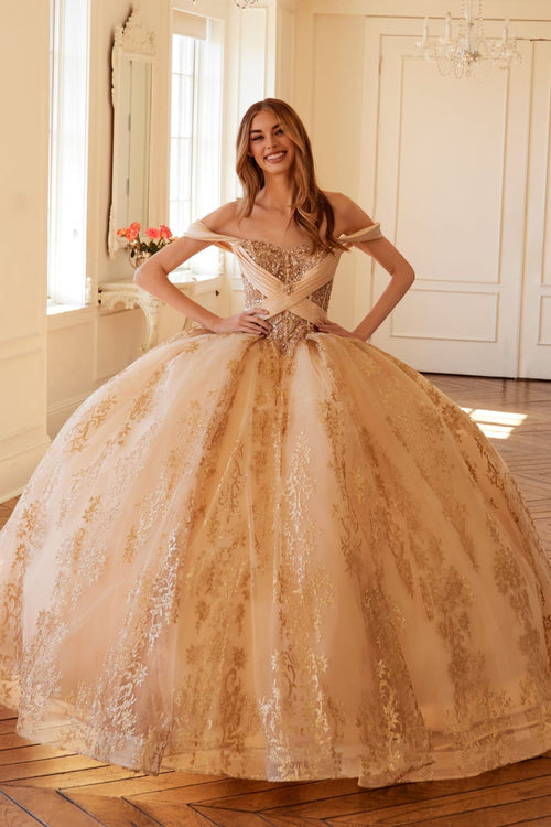 Glitter Print Off Shoulder Ball Gown by Juliet JT1488H - Quinceanera Dresses