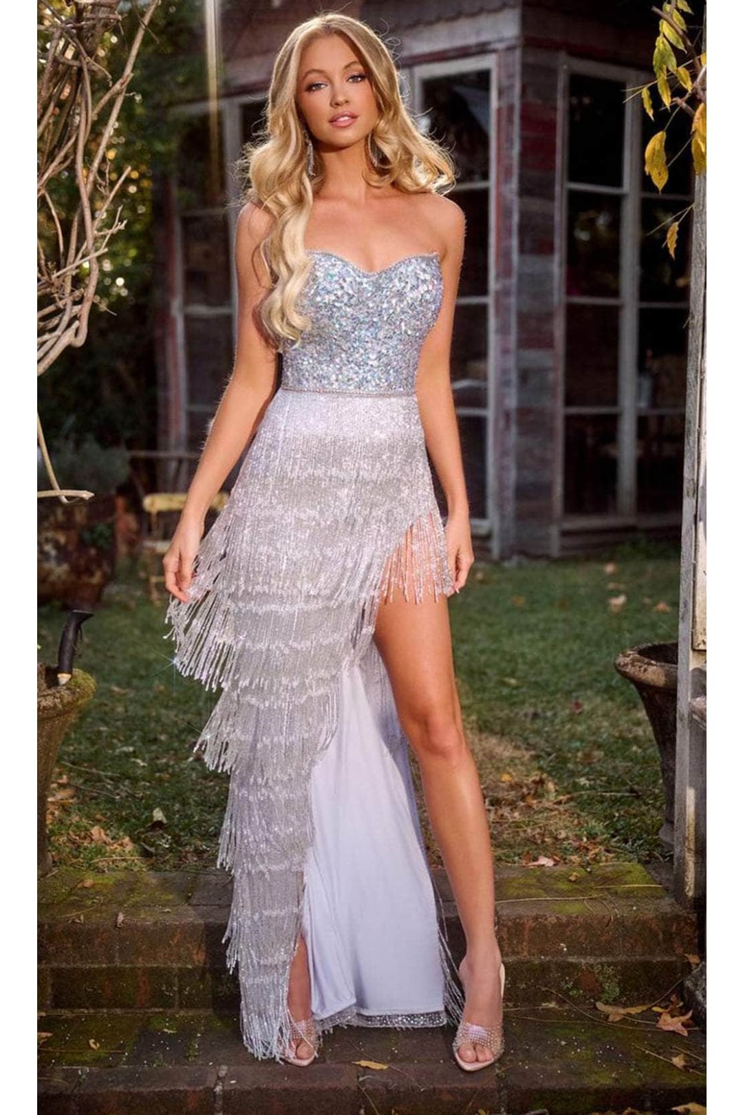 Gown for New Year’s Eve in Silver Style PS24813 Party Dress