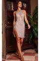 Great Gatsby Dress Womens Costume in Nude/Silver Style 24180A - Silver Nude