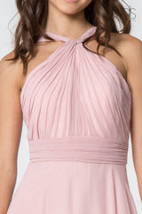 High-Neck Long A-Line Chiffon Dress by Elizabeth K GL2816 - Long Formal Dresses