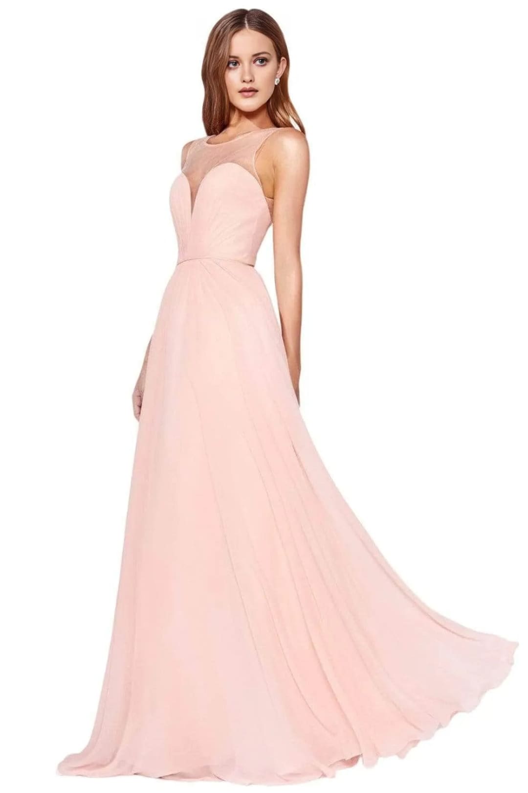 Illusion Neck Chiffon Dress 2025 Elegant A-Line Evening Gown - Blush / 2 - Prom