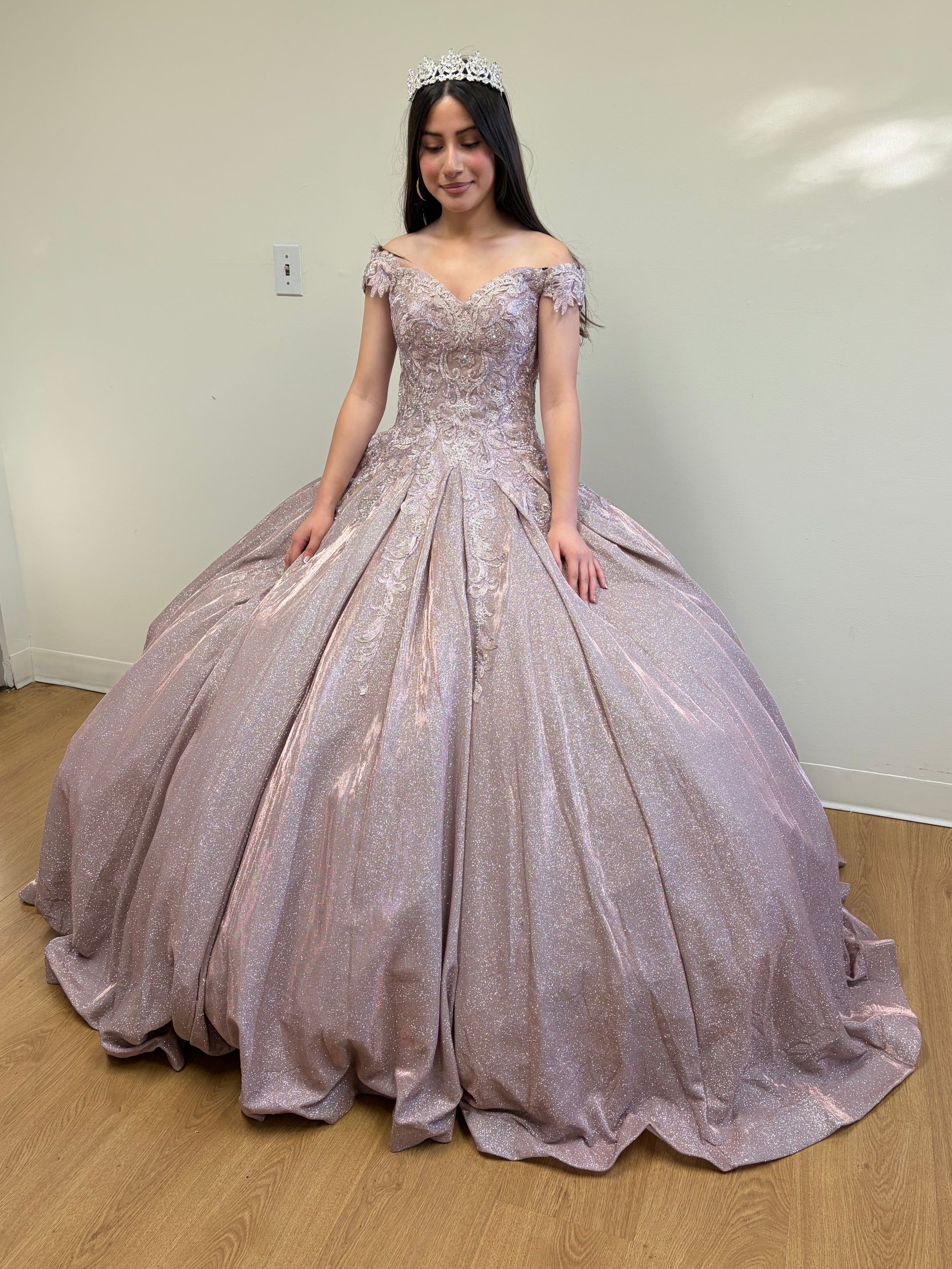 Vestidos De Quinceañera - Vestidos De 15 Años Plus Size Gown