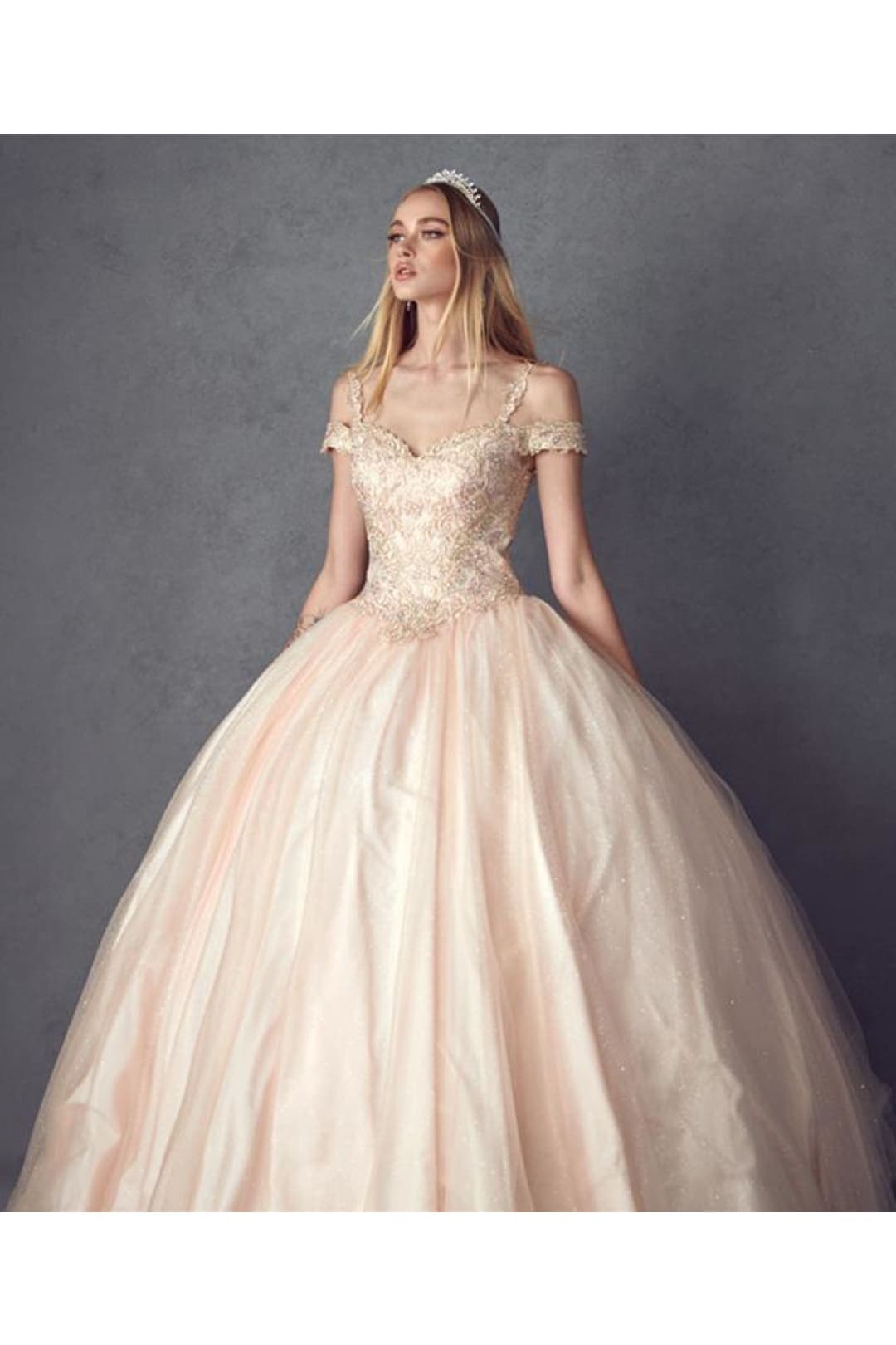 Embellished Quinceanera Ball Formal Gown - BLUSH / XS