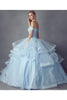 Embroidery Metallic Quinceanera Dress