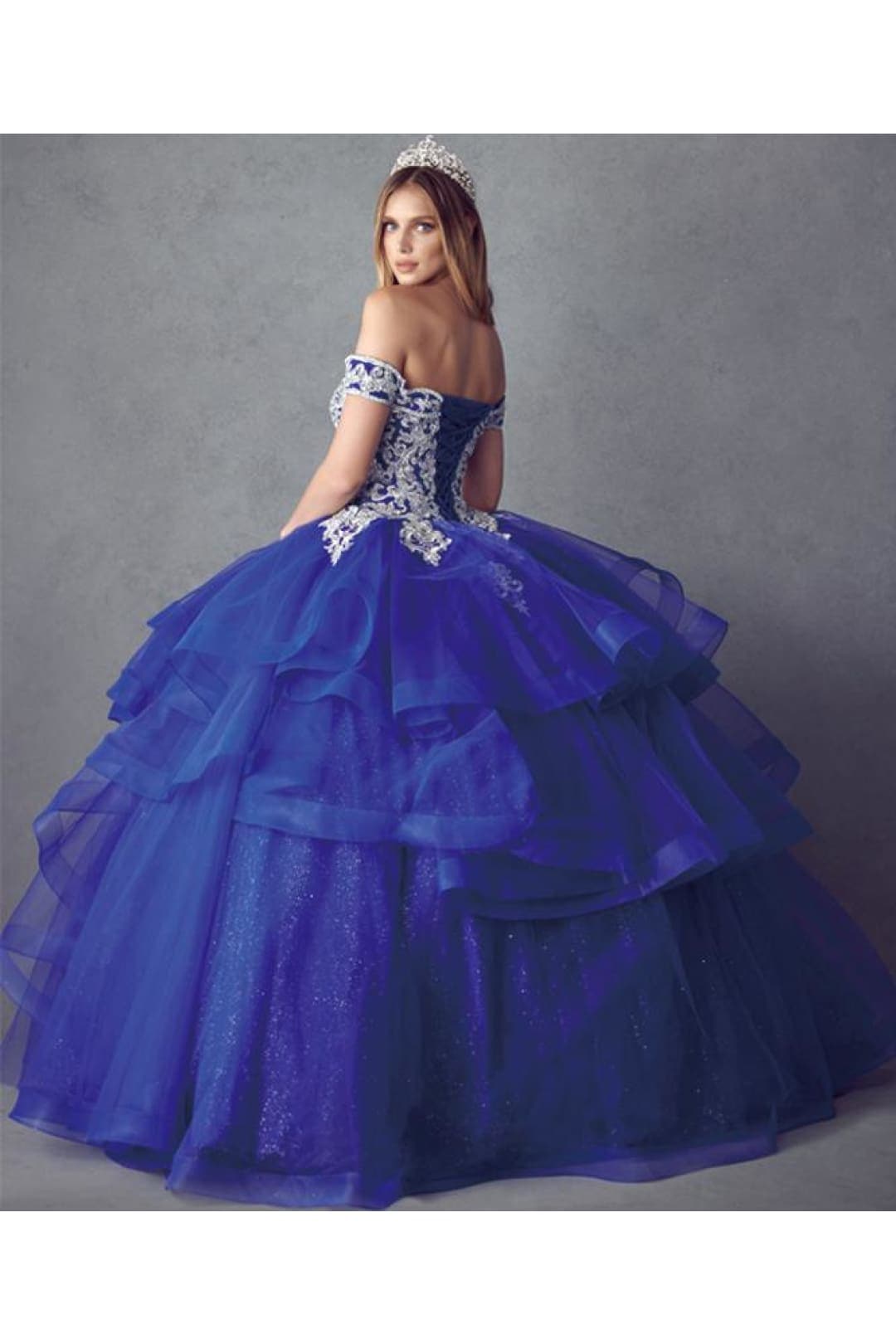 Embroidery Metallic Quinceanera Dress