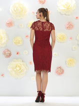Knee Length Mother Of The Bride Dress Short Sleeve Modest & Plus Size
