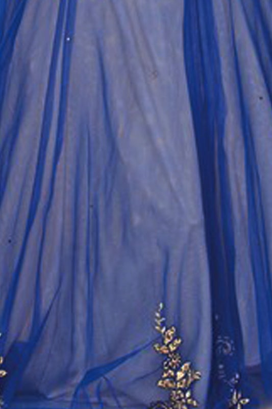 Juliet Royal/Gold Long Formal Dresses