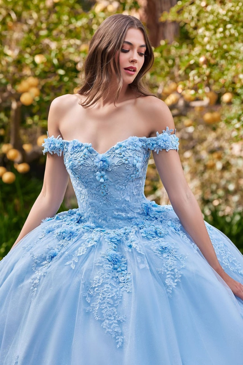 Ladivine 15702 Sweetheart Floral Lace Applique Evening Ball Gown - Dress
