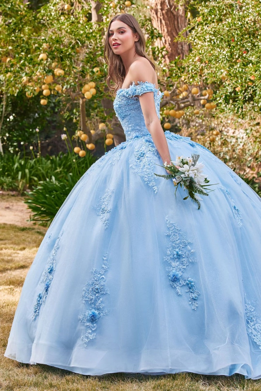 Ladivine 15702 Sweetheart Floral Lace Applique Evening Ball Gown - Dress