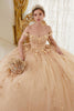 Ladivine 15702 Sweetheart Floral Lace Applique Evening Ball Gown - CHAMPAGNE / XS - Dress
