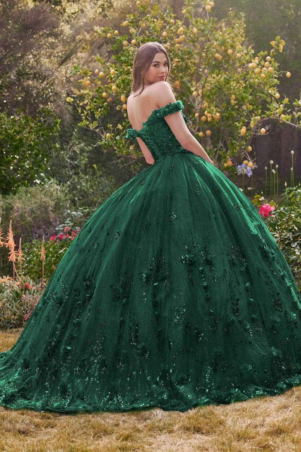 Ladivine 15704 - Sweetheart Floral Appliqued Ballgown - Prom