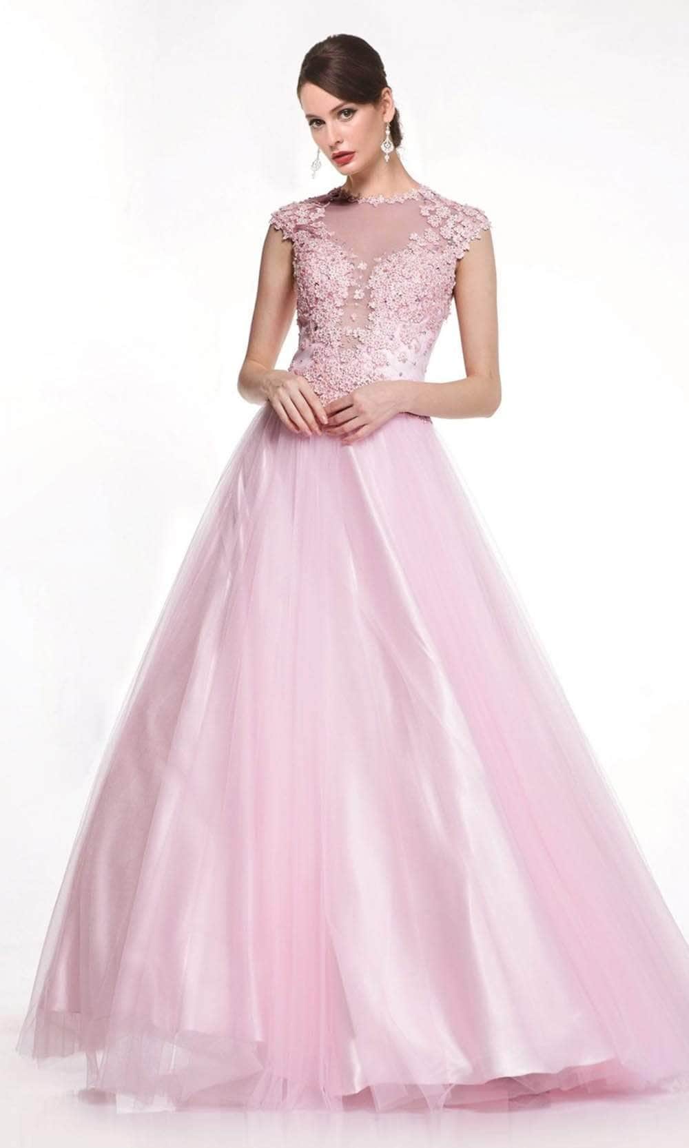 Ladivine 7635 - Ornate Lace Illusion A-Line Long Dress - Prom