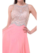 Ladivine 8733 - Crystal Adorned A-Line Evening Gown