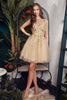 Ladivine 9245 Glitter Floral Applique A-line Tulle Cocktail Dress - CHAMPAGNE / XS - Dress