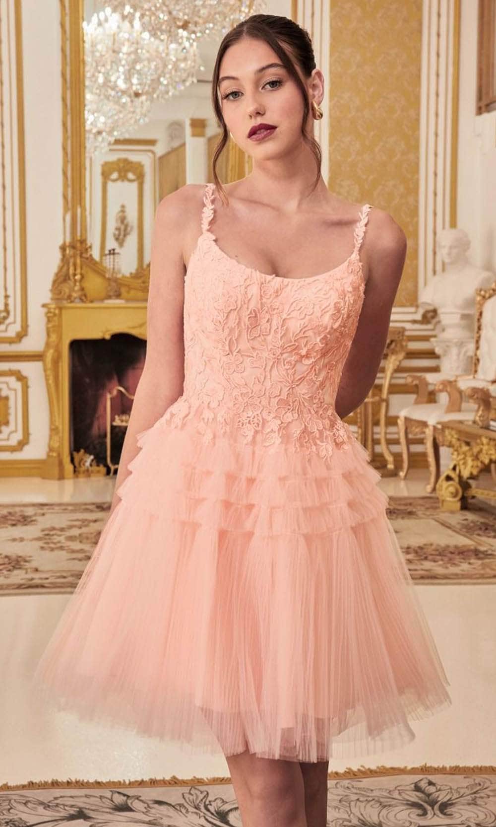 Ladivine 9310 - Embroidered A-Line Cocktail Dress - Blush / XXS - Prom