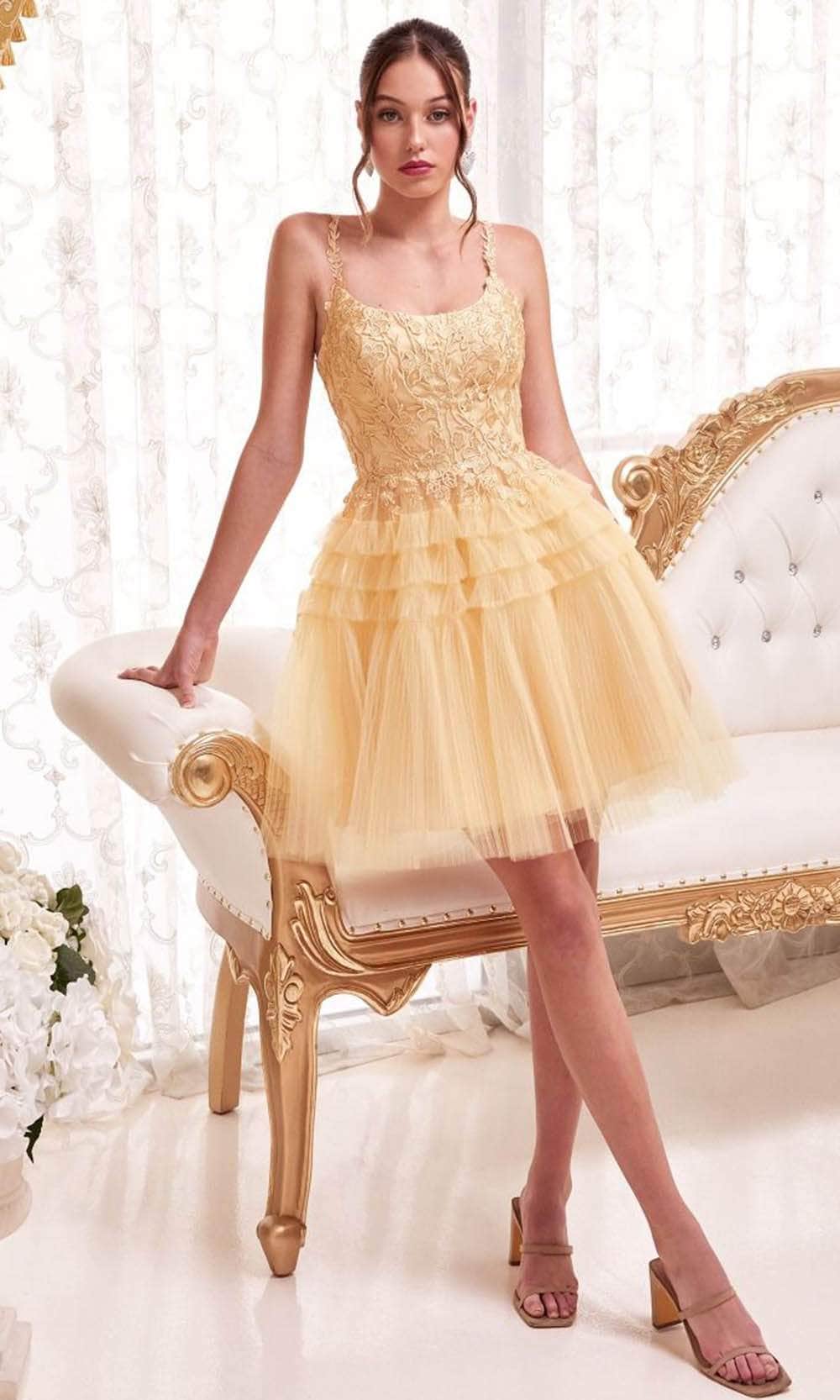 Ladivine 9310 - Embroidered A-Line Cocktail Dress - Champagne Gold / XXS - Prom