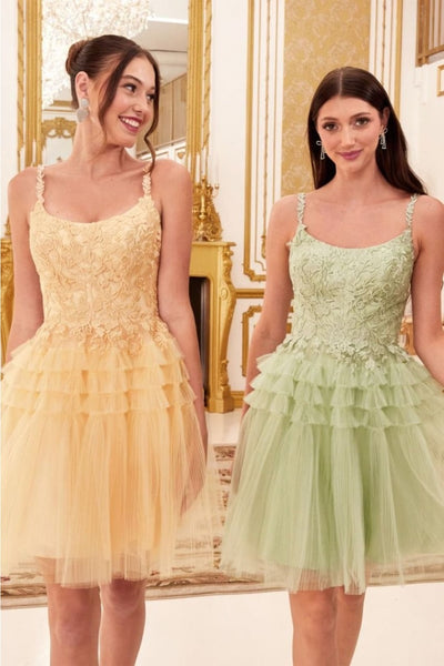 Ladivine 9310 Lace Applique Pleated Tulle Short Homecoming Dress