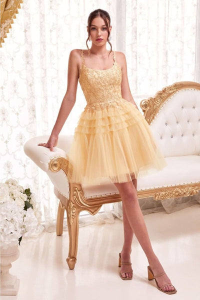 Ladivine 9310 Lace Applique Pleated Tulle Short Homecoming Dress