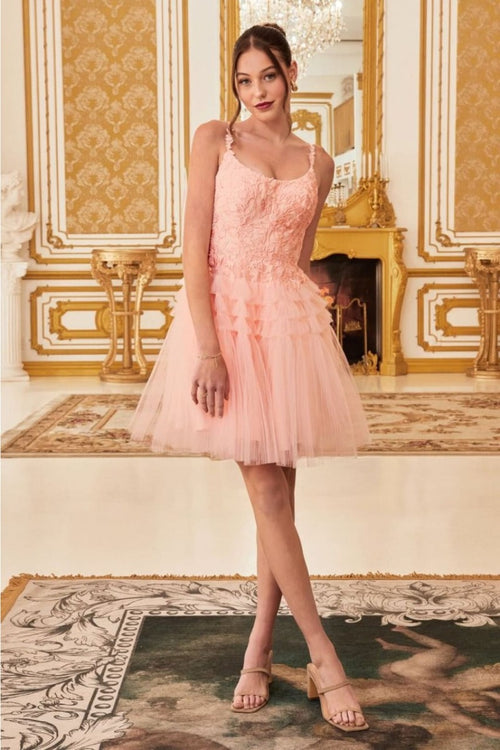 Ladivine 9310 Lace Applique Pleated Tulle Short Homecoming Dress