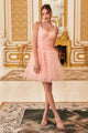 Ladivine 9310 Lace Applique Pleated Tulle Short Homecoming Dress