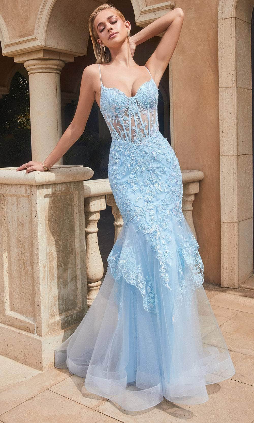 Ladivine by Cinderella Divine Dresses - Ladivine 9316 Embroidered Sheer Corset Prom Dress - Prom