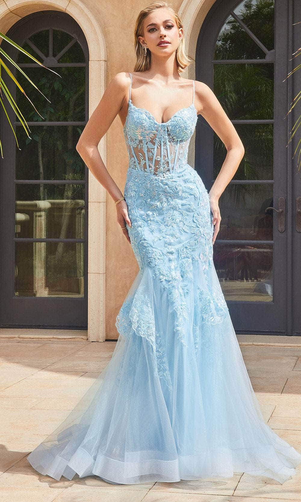 Ladivine by Cinderella Divine Dresses - Ladivine 9316 Embroidered Sheer Corset Prom Dress - Prom