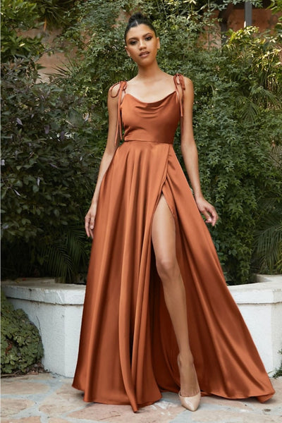 Ladivine BD104 A-Line Cowl Neck Slit Stylish Special Occasion Dress - SIENNA / XS - Dress