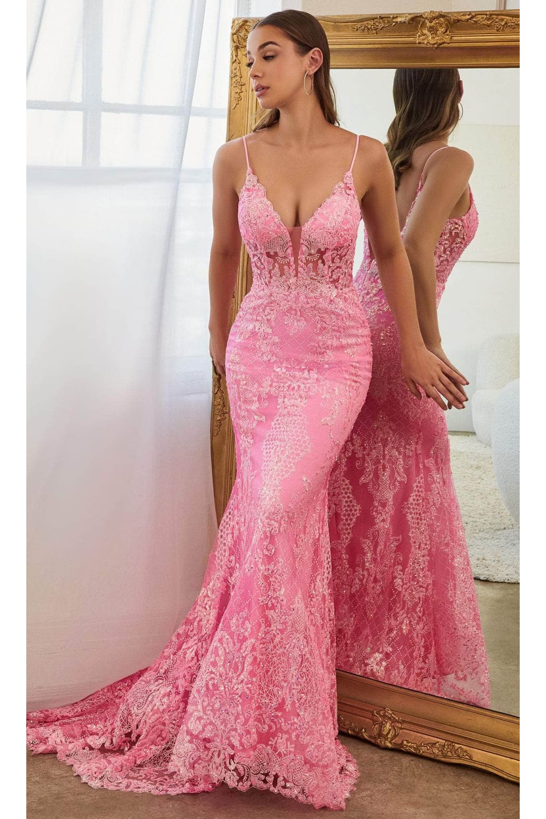 Ladivine CC2189 - Sheer Embellished Long Prom Gown - Prom