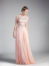 Ladivine CD0113 - Embellished Illusion A-Line Formal Dress