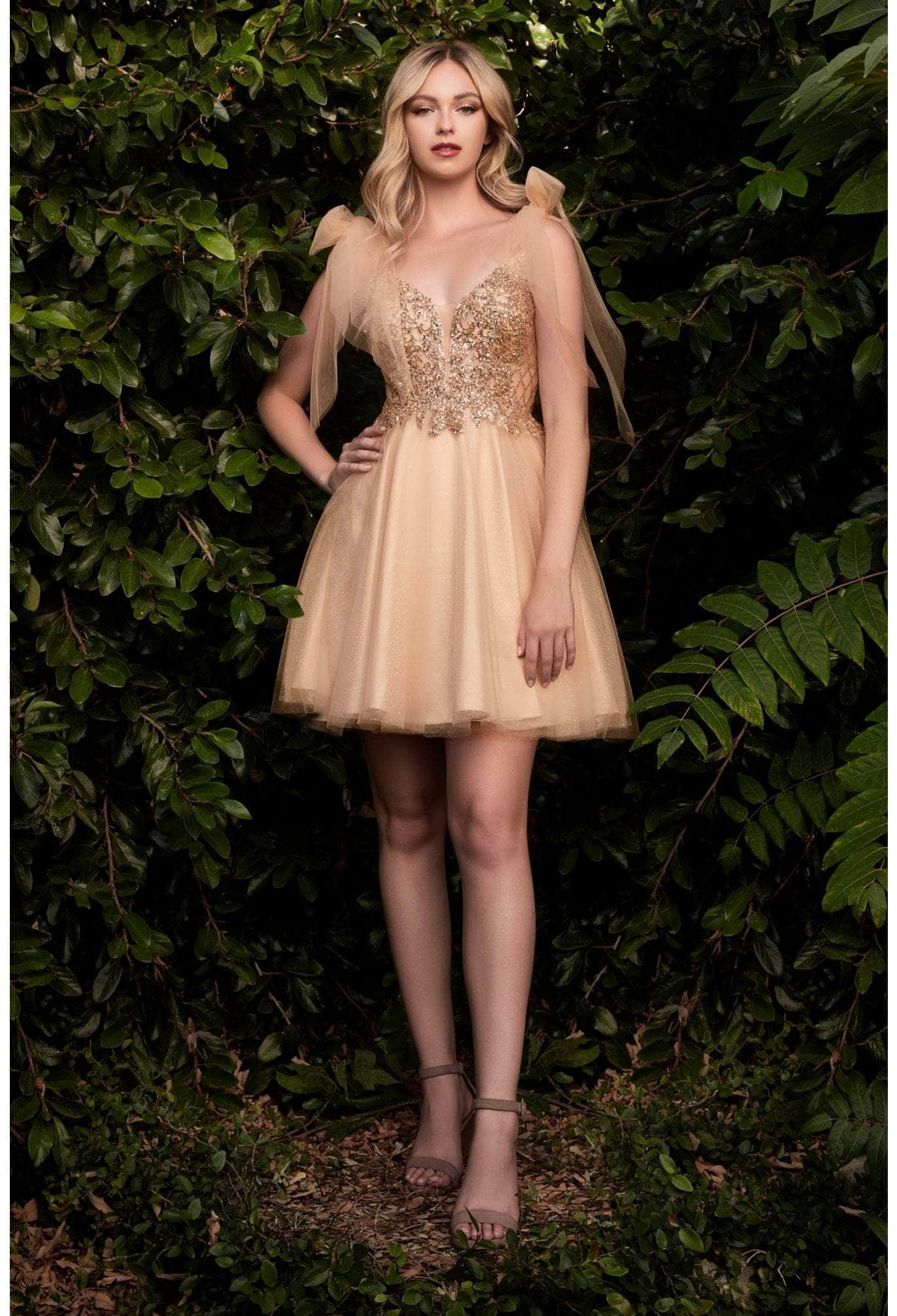 Ladivine CD0174 - Adorned Deep V-Neck A-Line Dress - Champagne / XXS - Prom