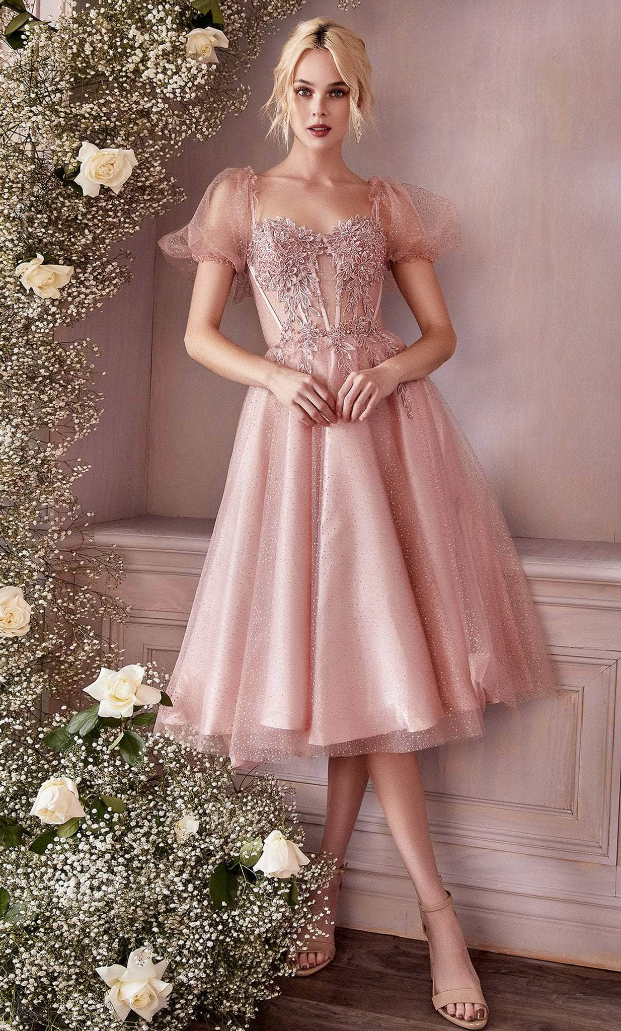 Vintage Dress Style Retro Outfit in Blush By Ladivine CD0187